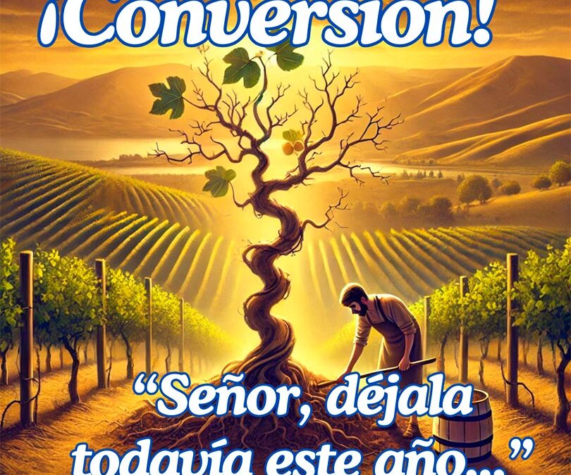 III Domingo Cuaresma «La paciencia de Dios: la higuera y la conversión»