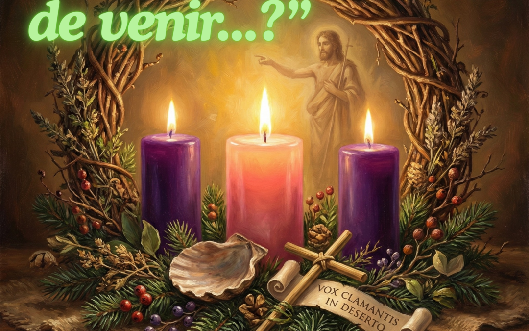 III Domingo de Adviento. Domingo de Gaudete